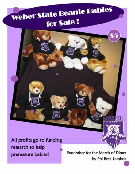 Weber State's Phi Beta Lambda is now selling Weber State Beanie Babies. This year’s bears come in three colors: white, light brown and dark brown. They can be purchased through PBL members in the NTM Department located in Elizabeth Hall 301. Each bear is selling for $5.00. The proceeds will go towards supporting the March of Dimes Foundation which raises money for research to help premature babies and Weber State PBL. This is a great opportunity to support Weber State and its student organizations.They are great gifts for graduation and birthdays plus everyone will love them. Buy your Beanie Bears now before they run out. 